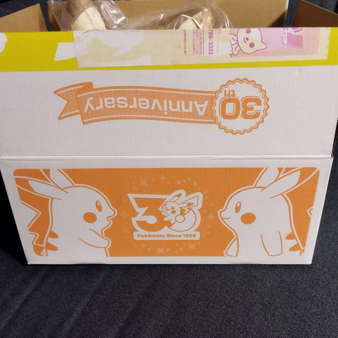 【ポケセン限定】30周年記念 ピカチュウ ぬいぐるみ マスコット 2点セット