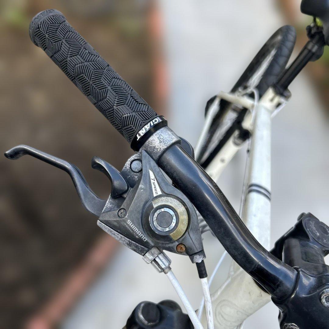 GIANT SNAP自転車