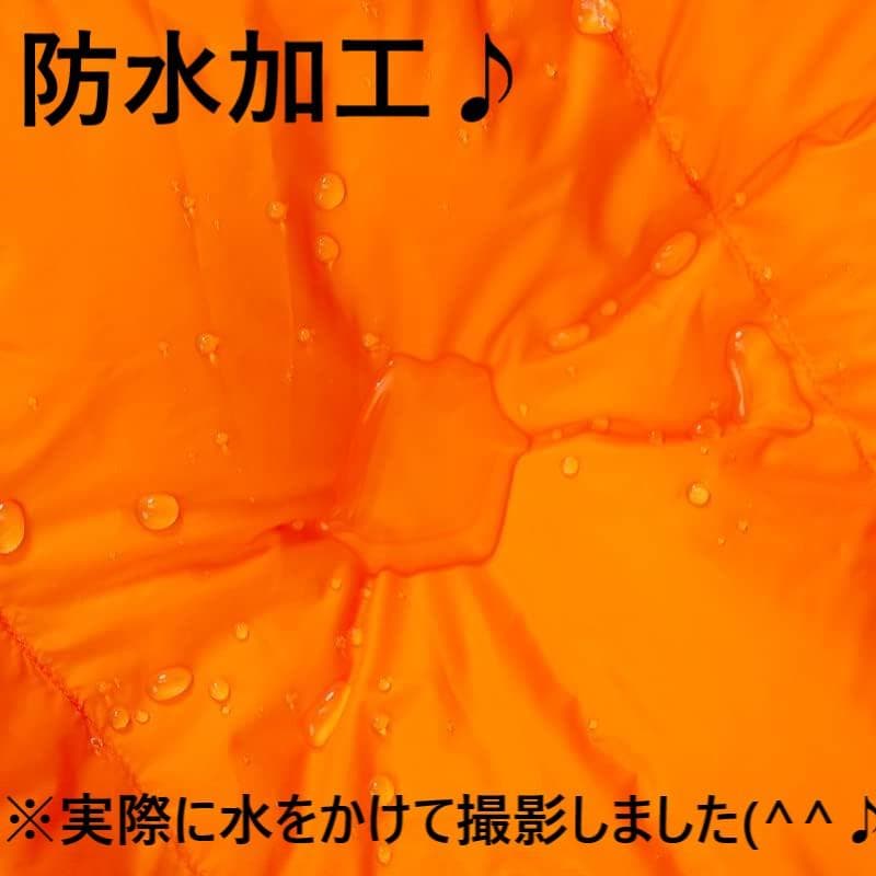 アウトドア　防水　グース　ダウン　マミー型 寝袋　シュラフ ブルー　700g