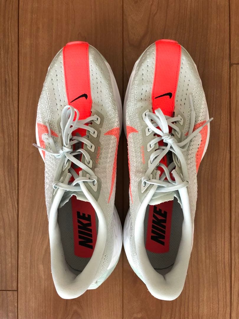Nike Pegasus Plus 28cm ナイキ ペガサス プラス