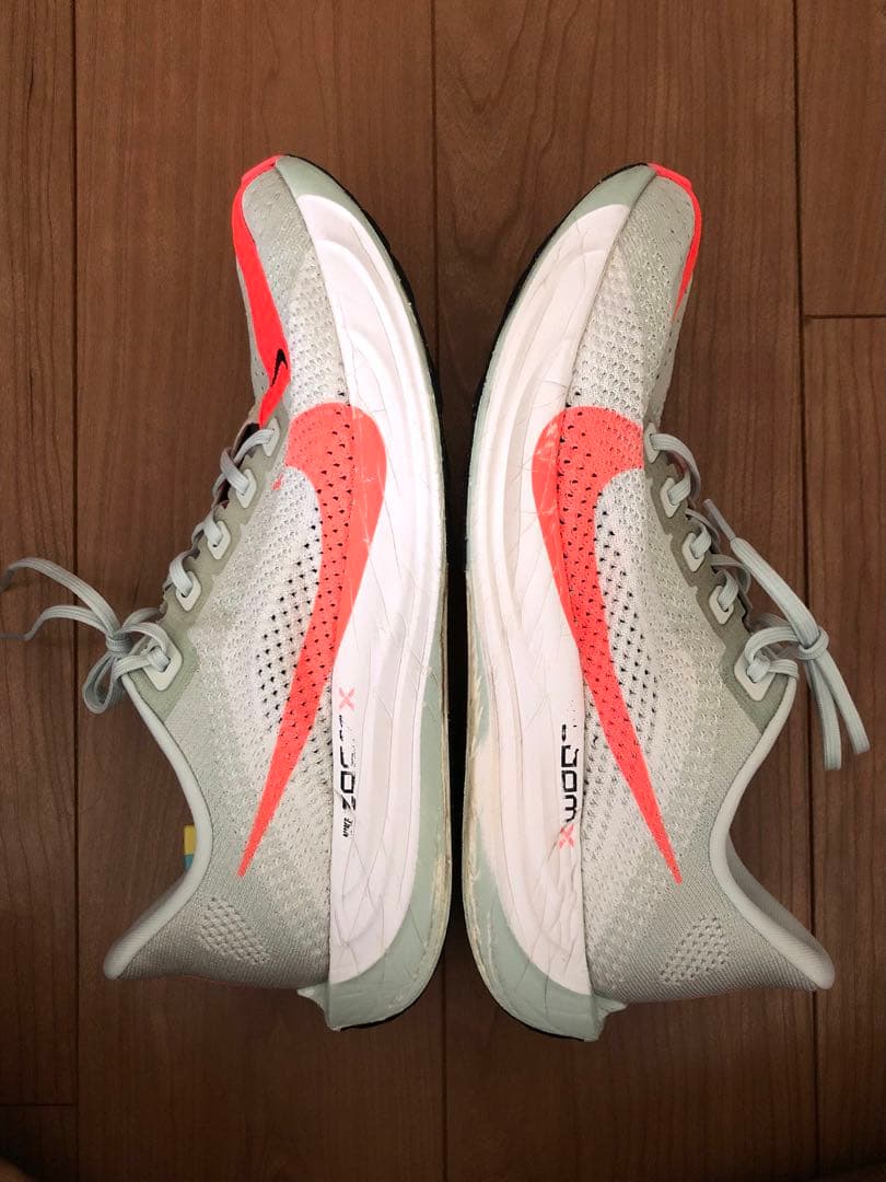 Nike Pegasus Plus 28cm ナイキ ペガサス プラス