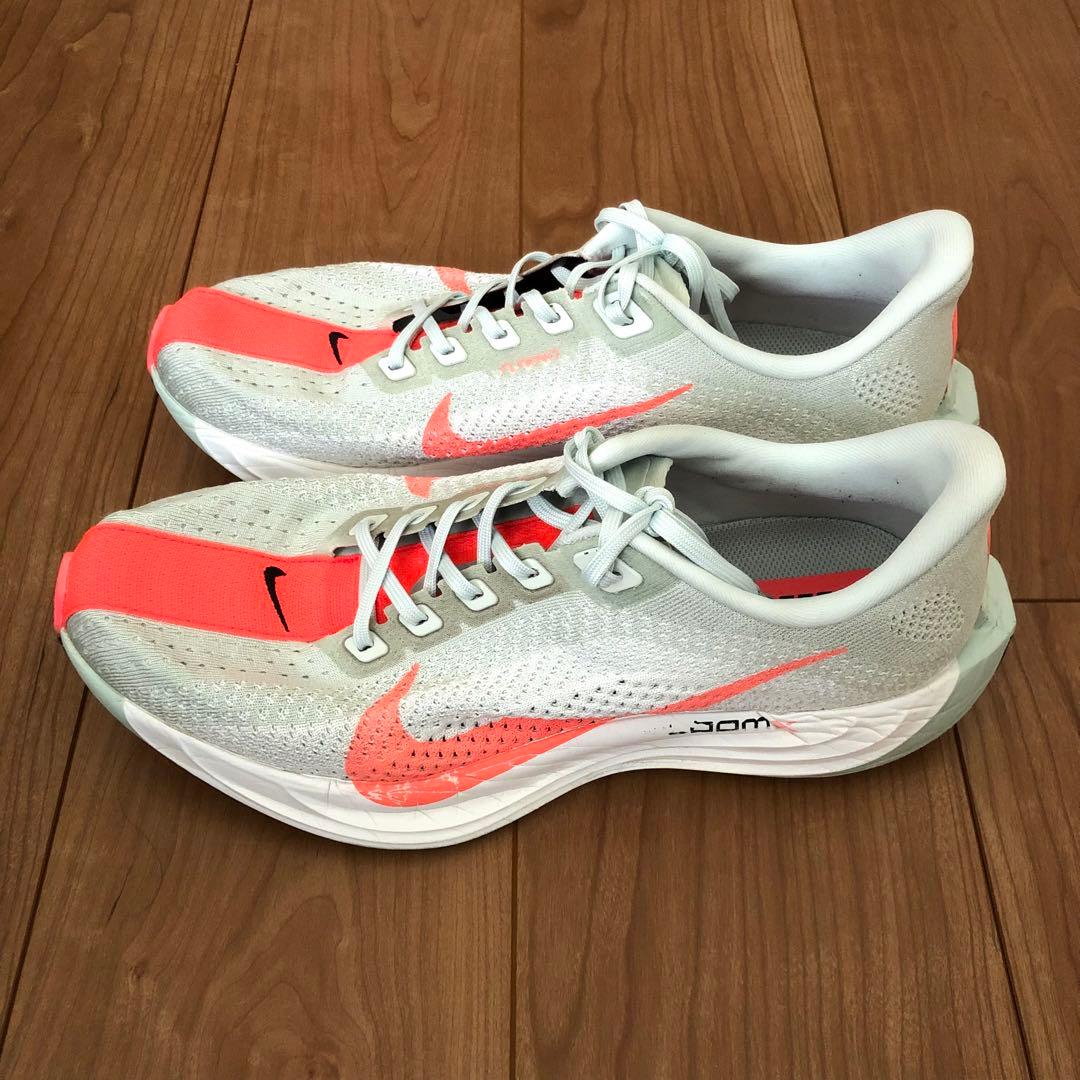 Nike Pegasus Plus 28cm ナイキ ペガサス プラス