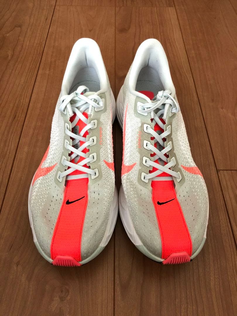 Nike Pegasus Plus 28cm ナイキ ペガサス プラス