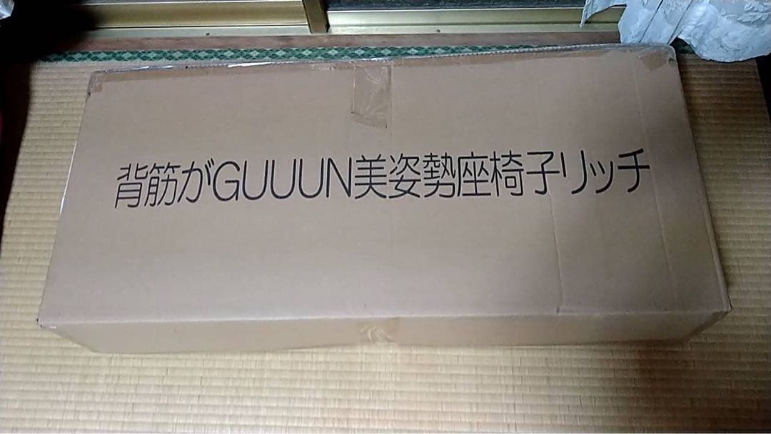 背筋がグーン美姿勢座椅子リッチ