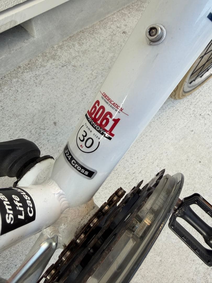 自転車本体 LOUIS GARNEAU J24 CROSS