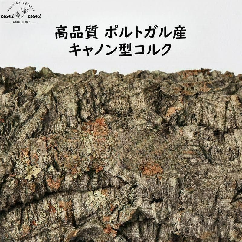 W597 ポルトガル産 キャノンコルク コルク樹皮 コルク板　バージンコルク