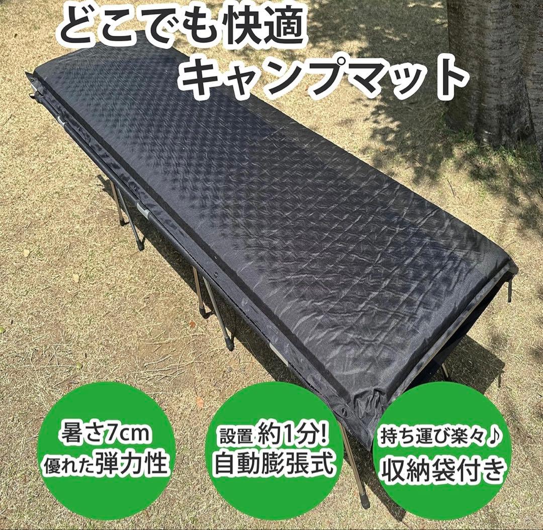 PEAKS＆TREES マット エアーベッド インフレーターマット 寝具
