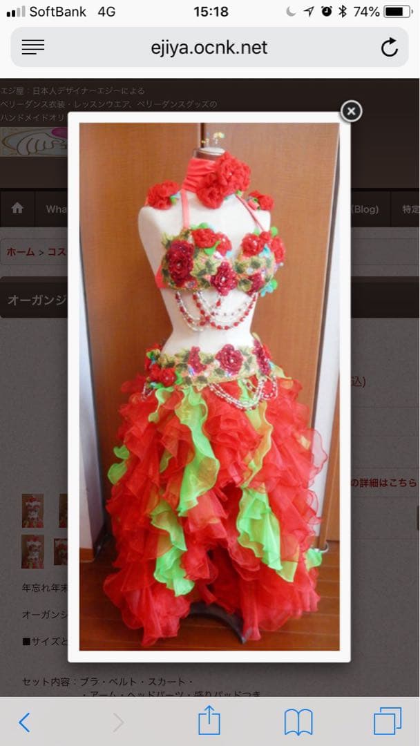 エジ屋　ベリーダンス セットアップ