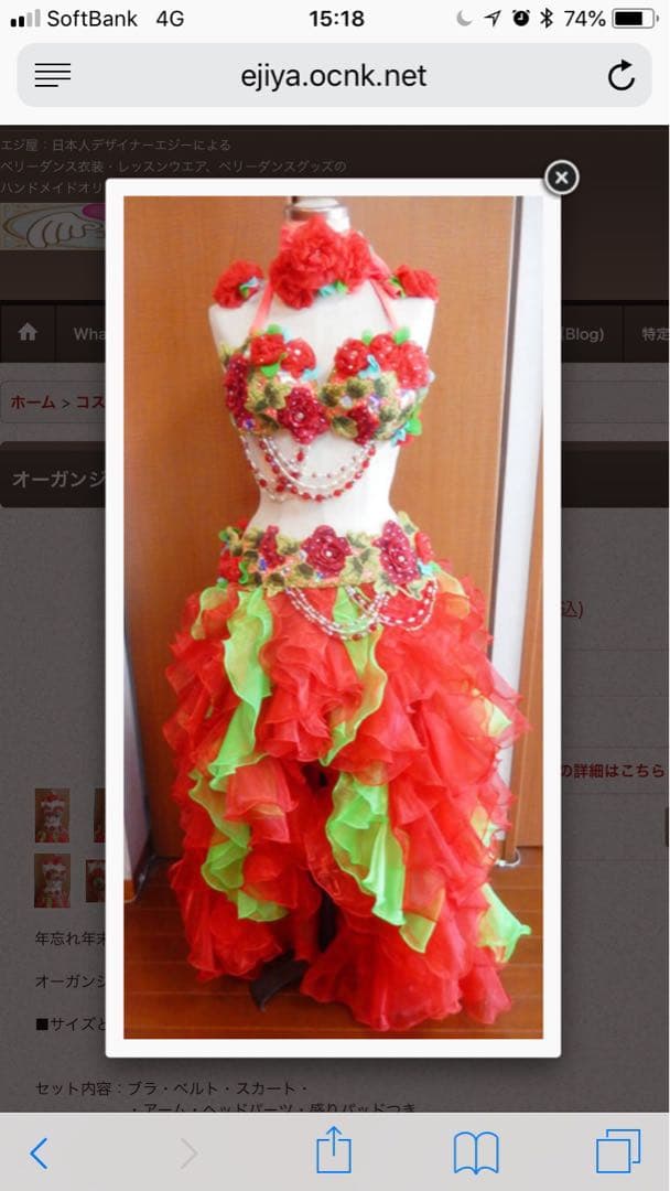 エジ屋　ベリーダンス セットアップ
