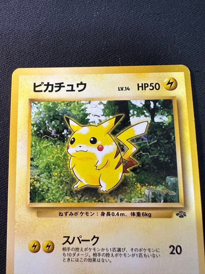 旧裏 極美品 ピカチュウ ポケモンジャングル⑤
