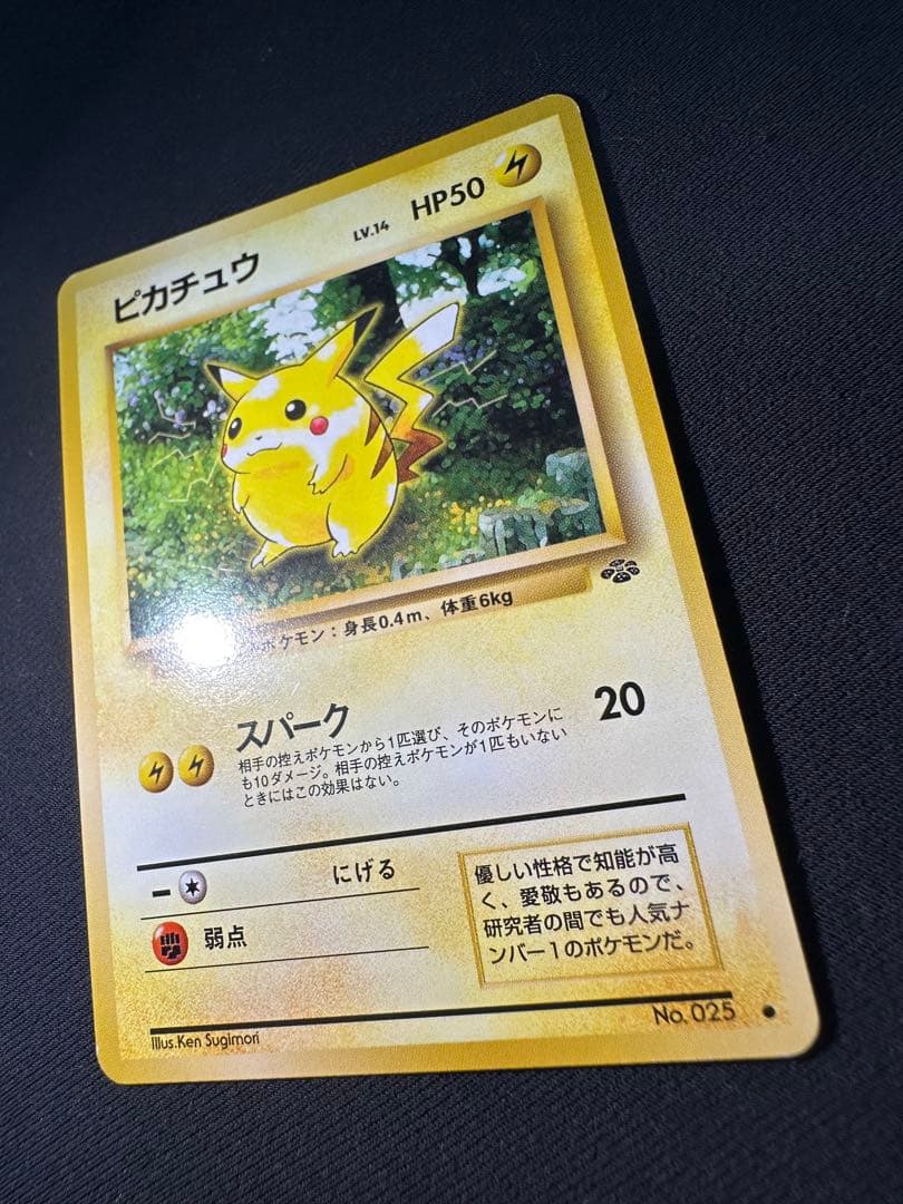 旧裏 極美品 ピカチュウ ポケモンジャングル⑤