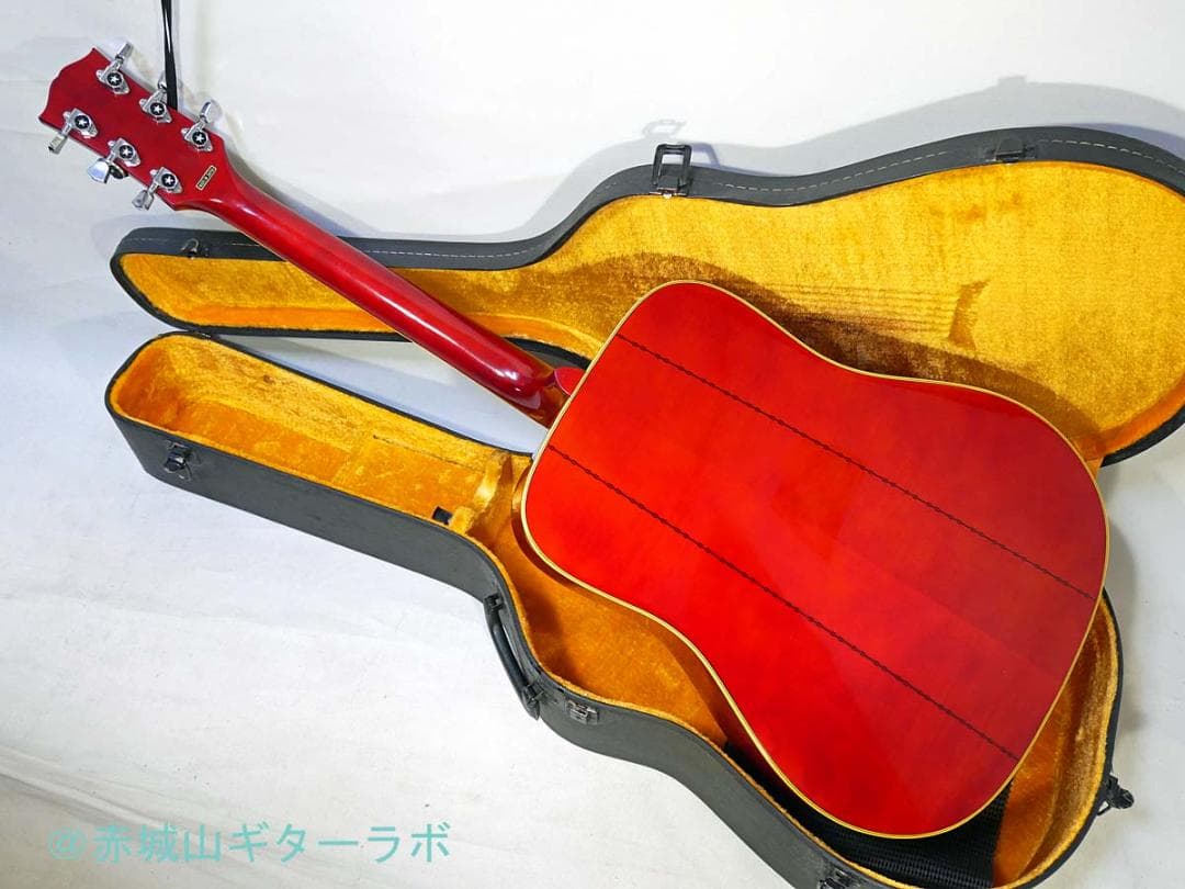 CANDA#303 1970年代フジゲン製 DOVEモデル☆ハードケース付