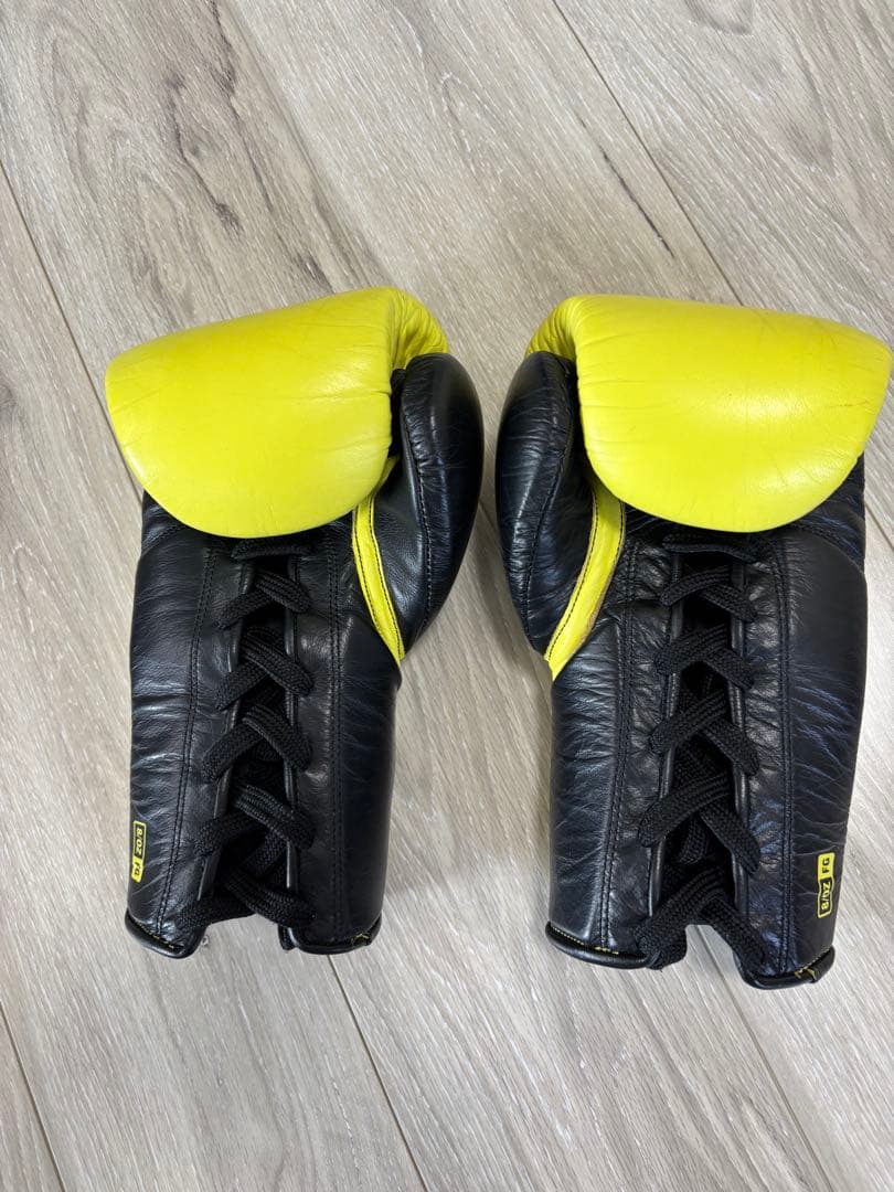 定価:29,800円 EVERLAST POWERLOCK 8oz