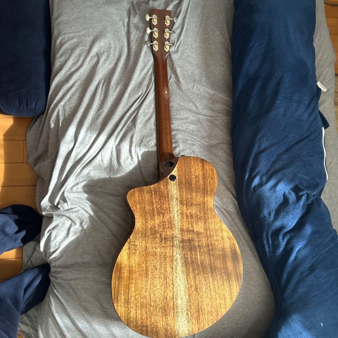 Martin & Co. アコースティックギター
