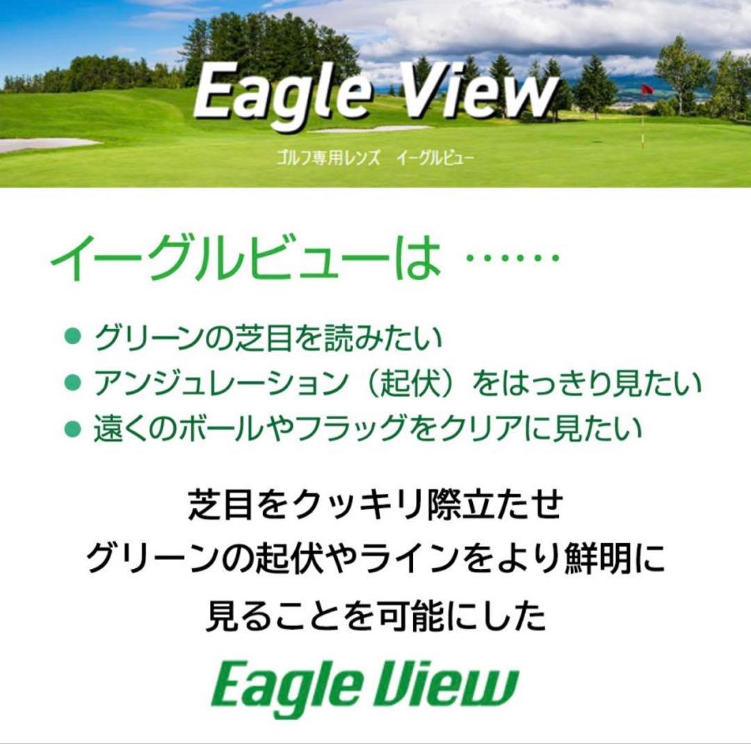 RayBan ウェイファーラー EAGLE VIEW ゴルフ　サングラス