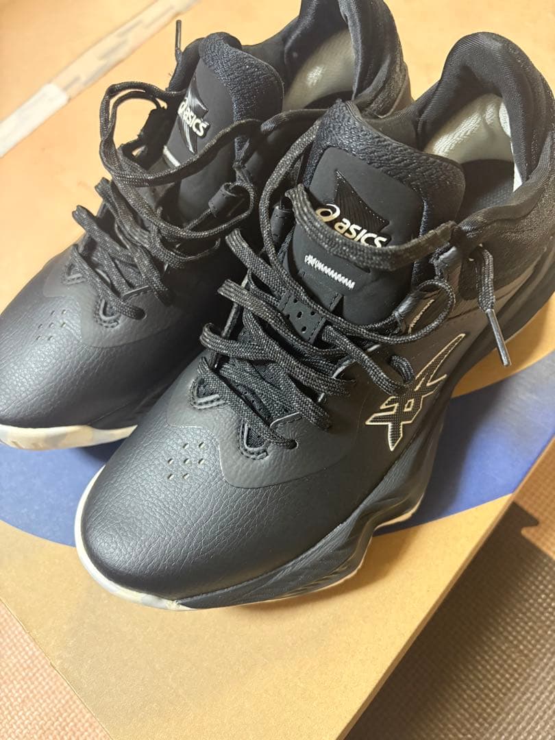 シューズ(男性用) asics nova surge low