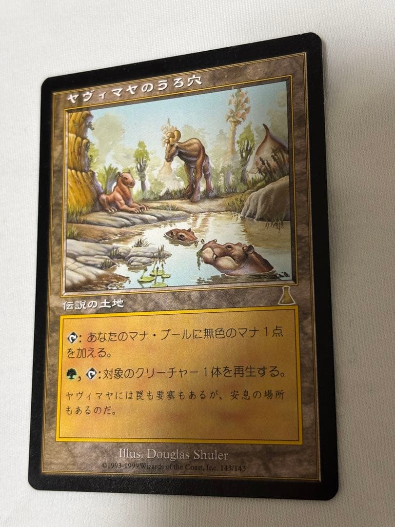MTG ヤヴィマヤのうろ穴 日本語 旧枠 EDH 統率者