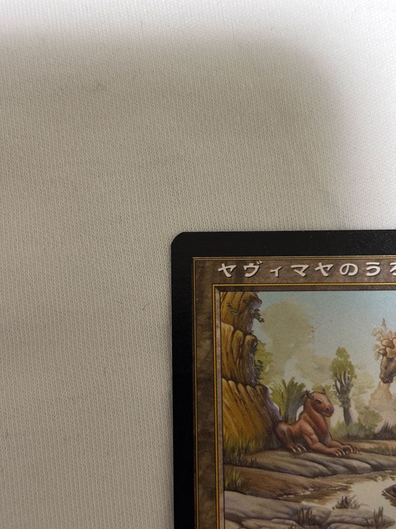 MTG ヤヴィマヤのうろ穴 日本語 旧枠 EDH 統率者