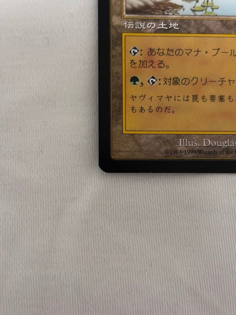 MTG ヤヴィマヤのうろ穴 日本語 旧枠 EDH 統率者
