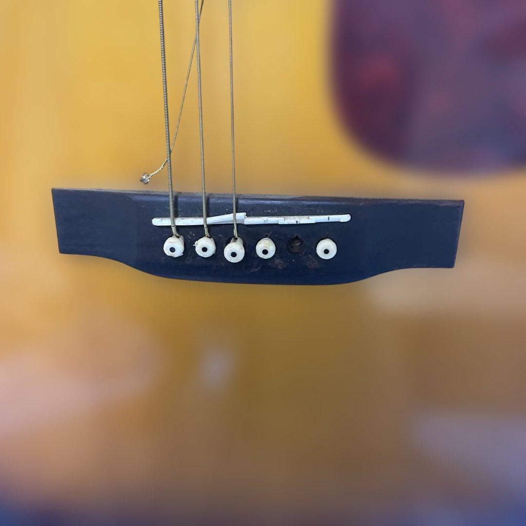 【キャッツアイ】アコースティックギター