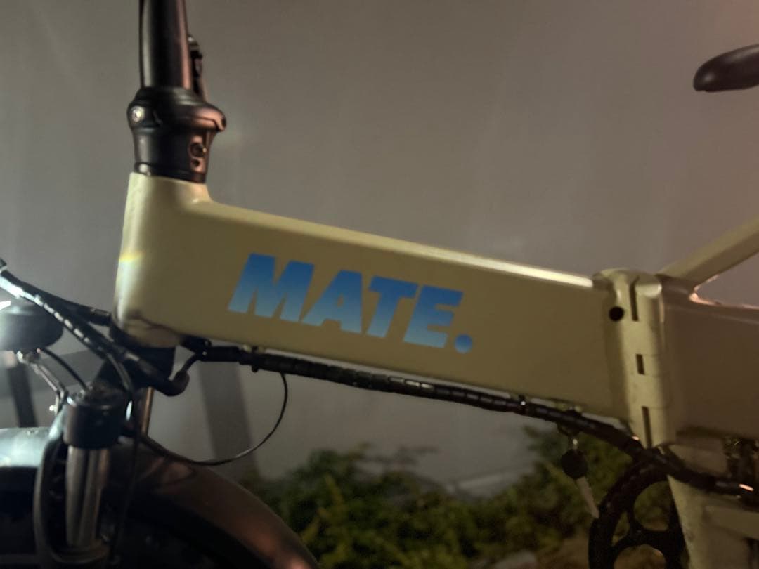 新型最安値MATE BIKE MATE X Eバイクメイトバイクシ　メイト最新作