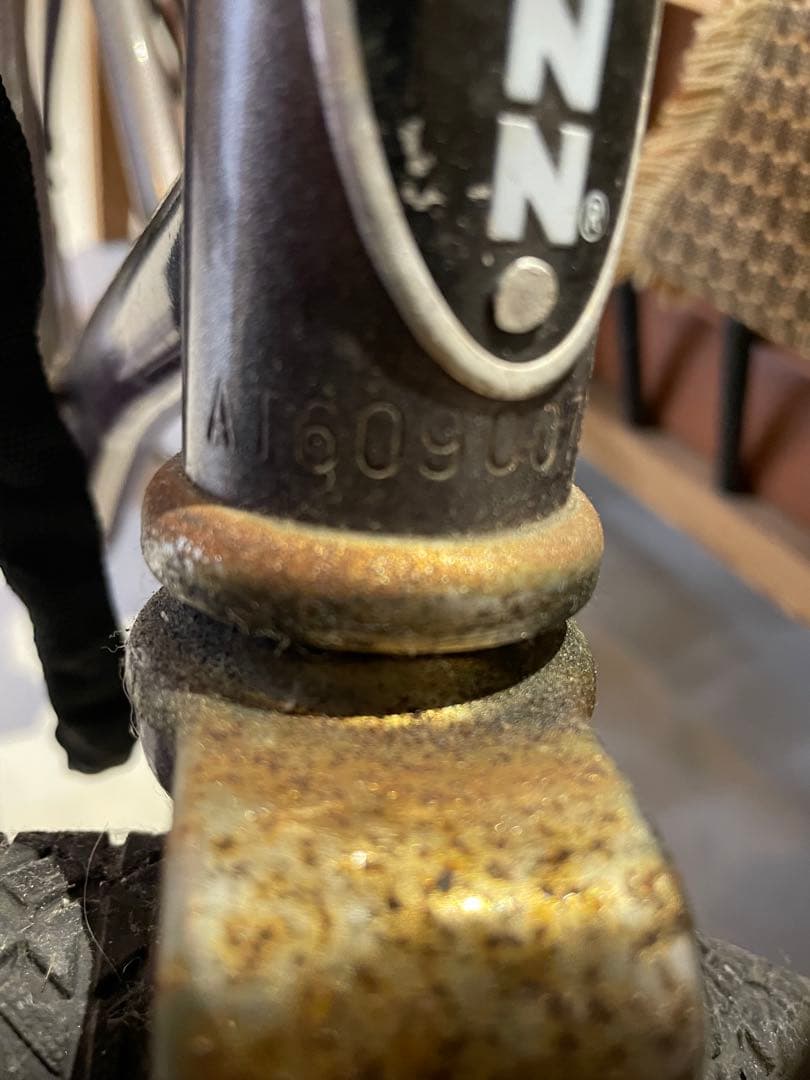 Schwinn Sting-Ray 1982年製メタリックパープル