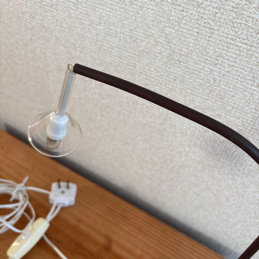 希少　ユーカリさんちょこっとライト