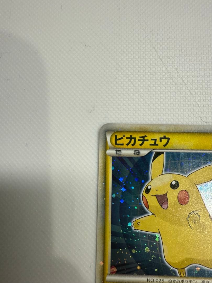 ピカチュウワールド　 ピカチュウ こんにちはピカチュウ　日本語