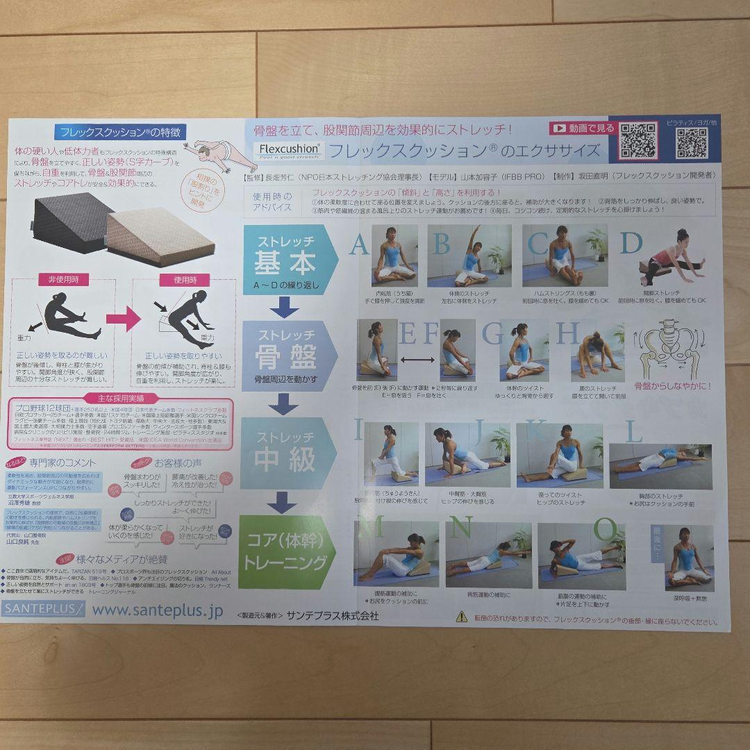 SANTEPLUS　サンテプラス フレックスクッション ブラック