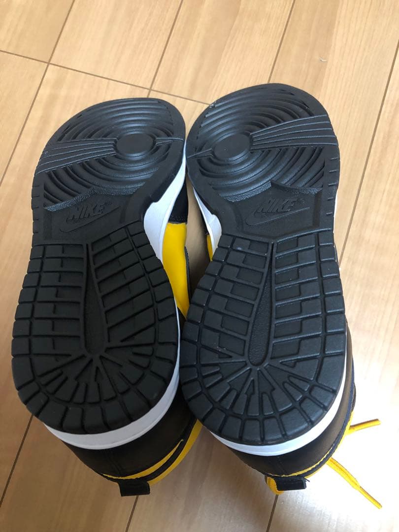 未使用　新品　Nike Dunk High DD1399-700