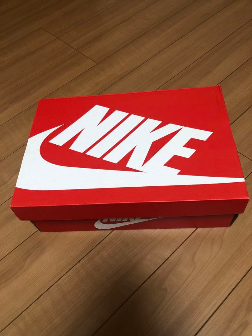 未使用　新品　Nike Dunk High DD1399-700