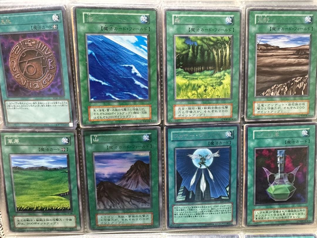 遊戯王OCGカードコレクション