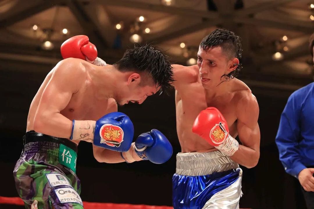 Winning ボクシンググローブ 8オンス　赤 青