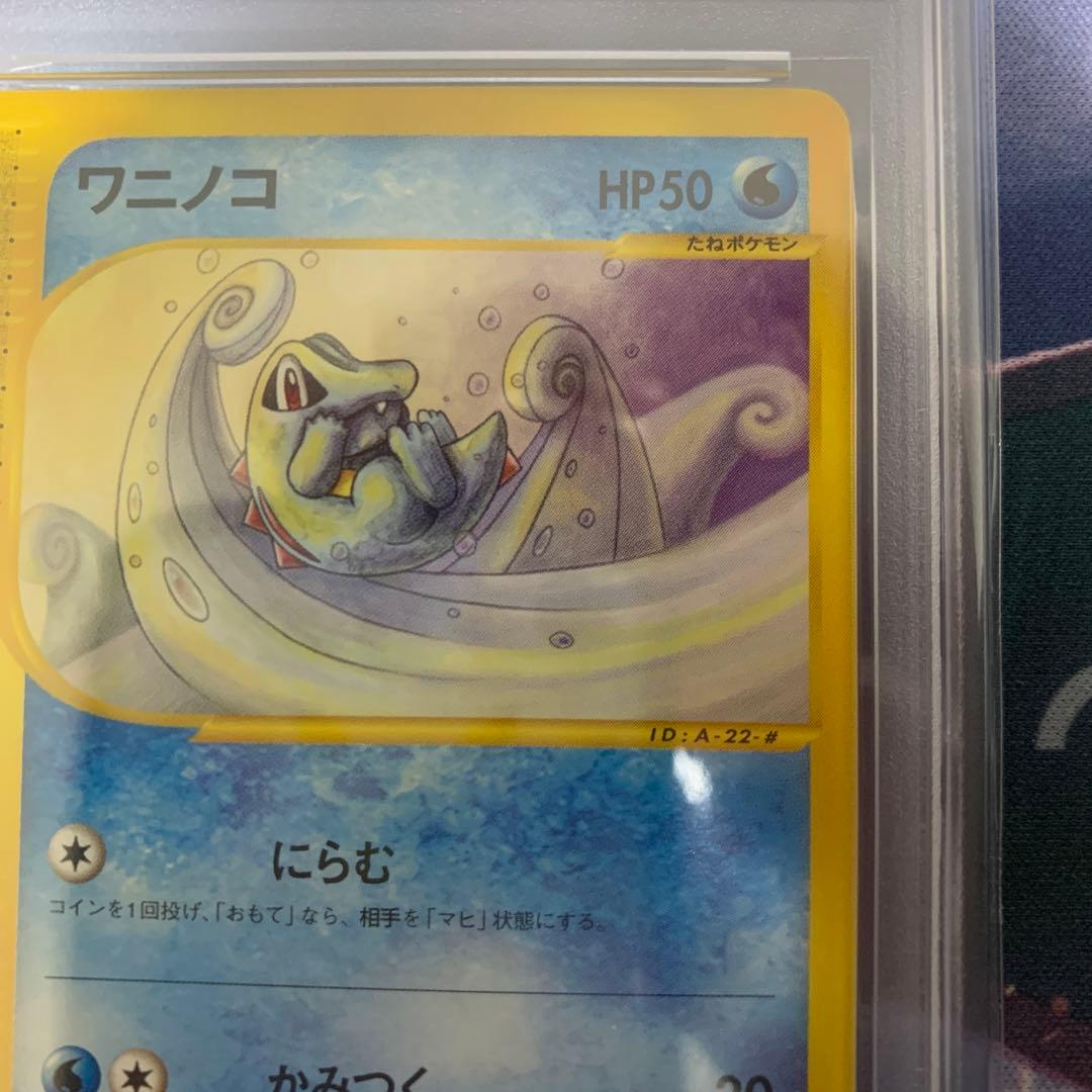 ポケモンカードe ワニノコ　psa10