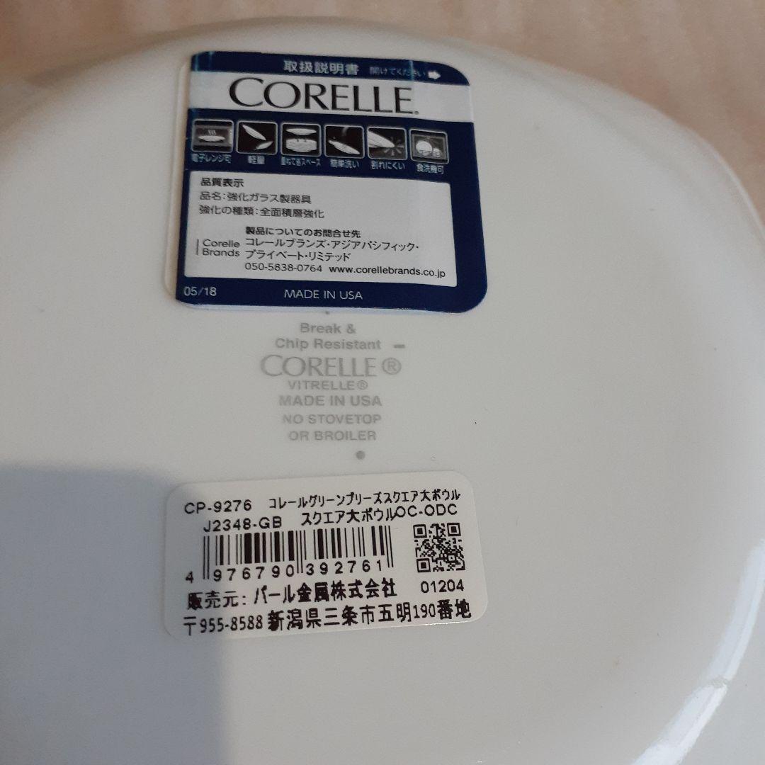CORELLE 食器セット グリーンブリーズ　6点