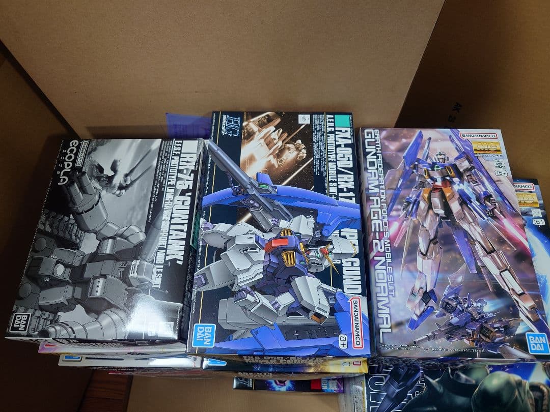 HG、MGガンプラ　未組立まとめ売り（21個）