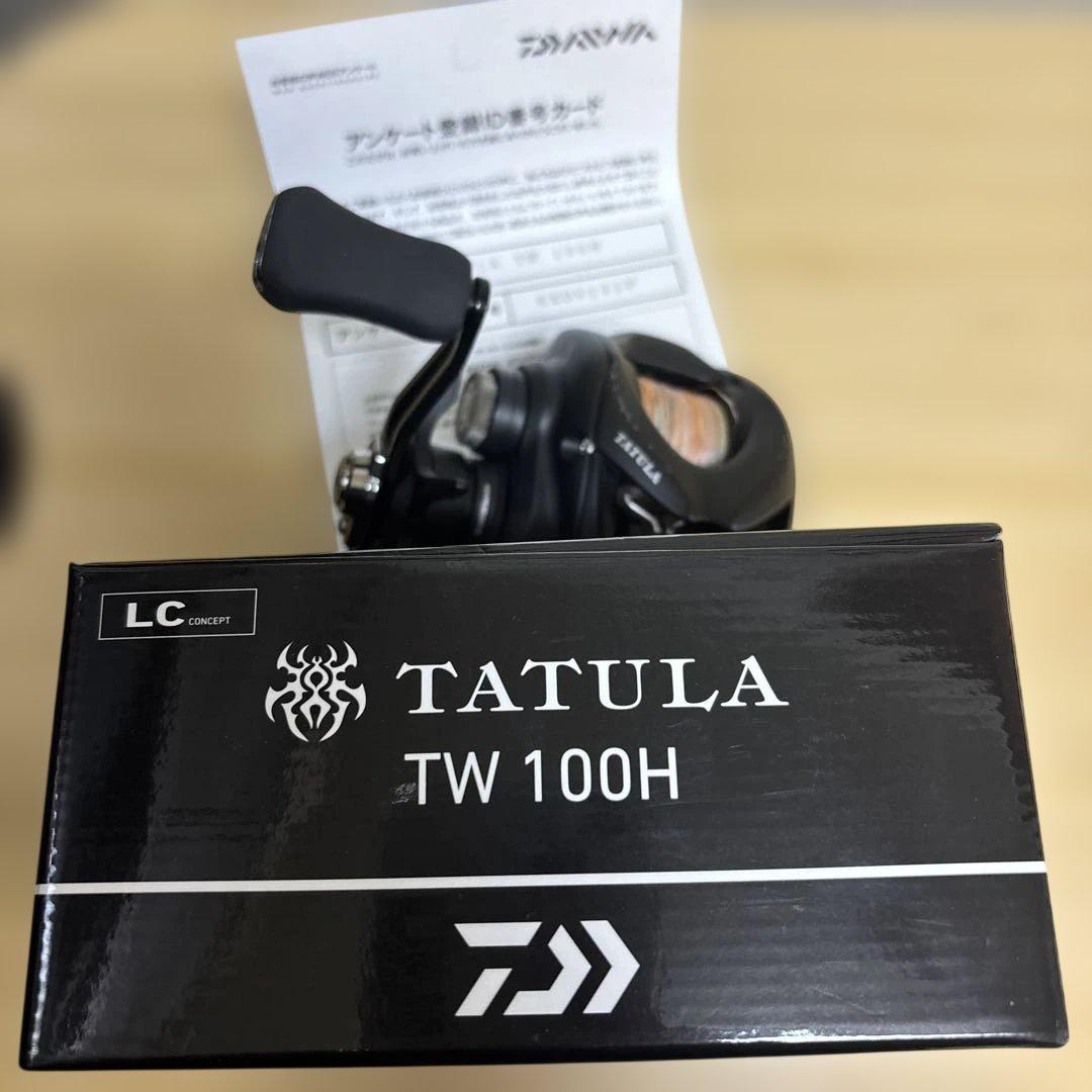 ダイワ TATULA TW 100 ベイトリール