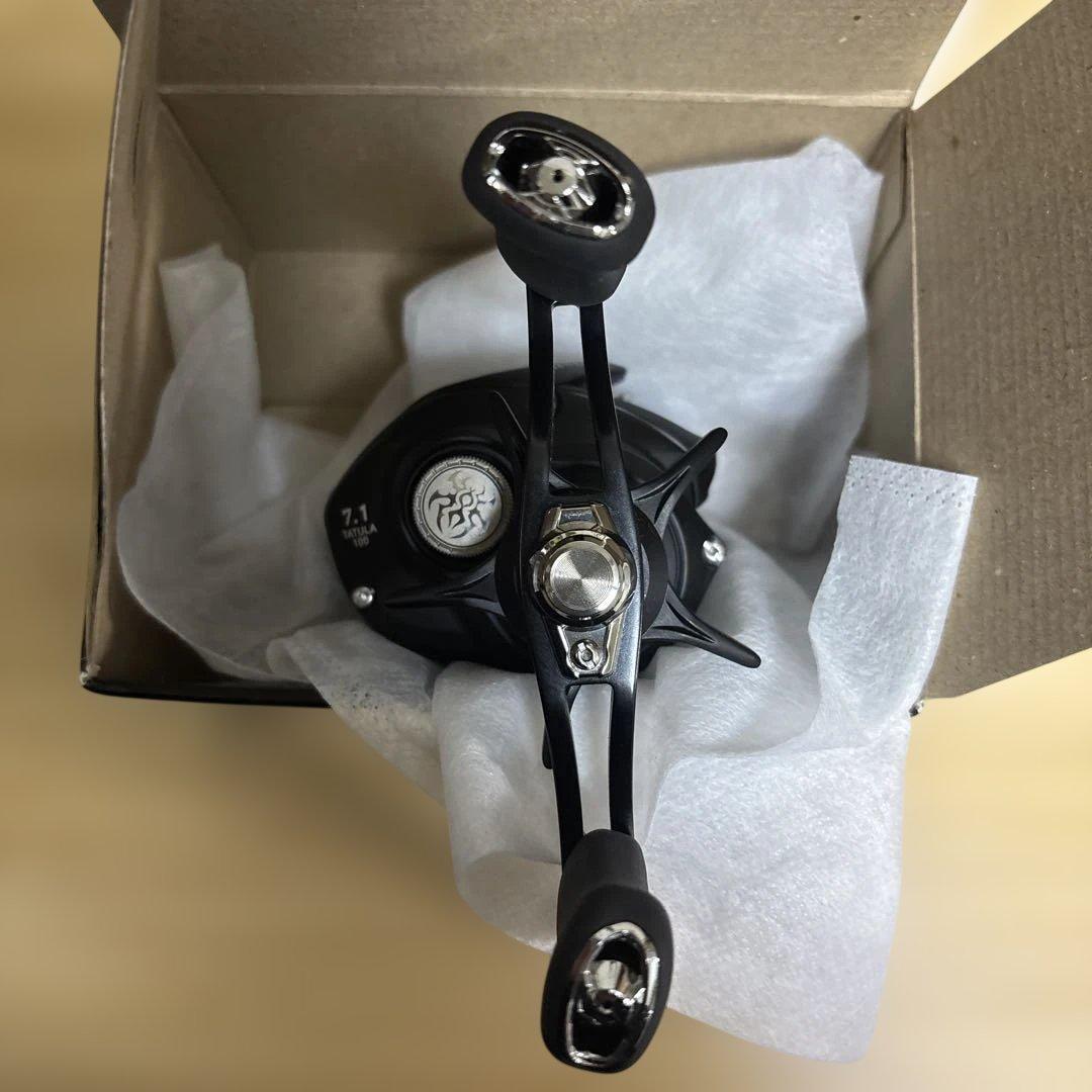 ダイワ TATULA TW 100 ベイトリール