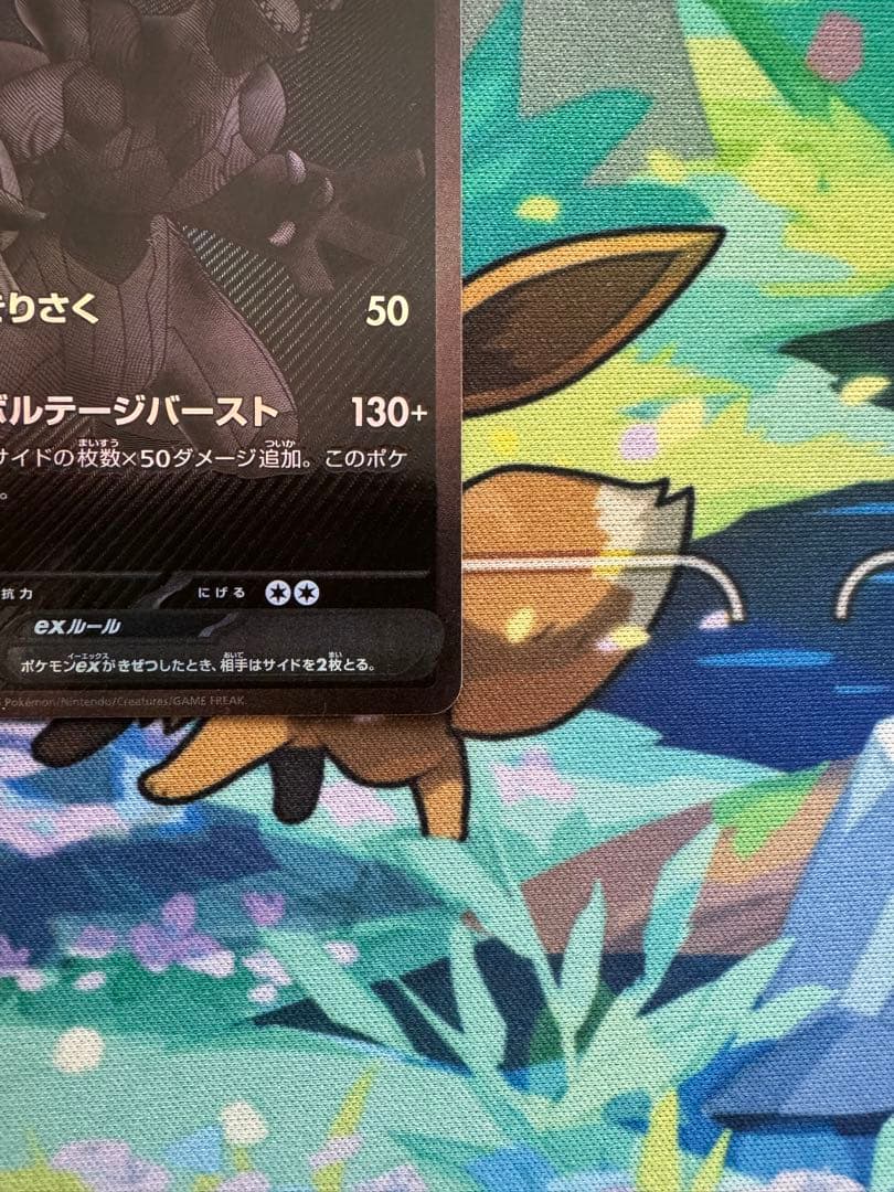 ゼクロム ex BWR