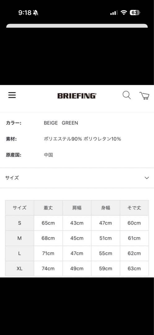 ブリーフィング　セットアップ