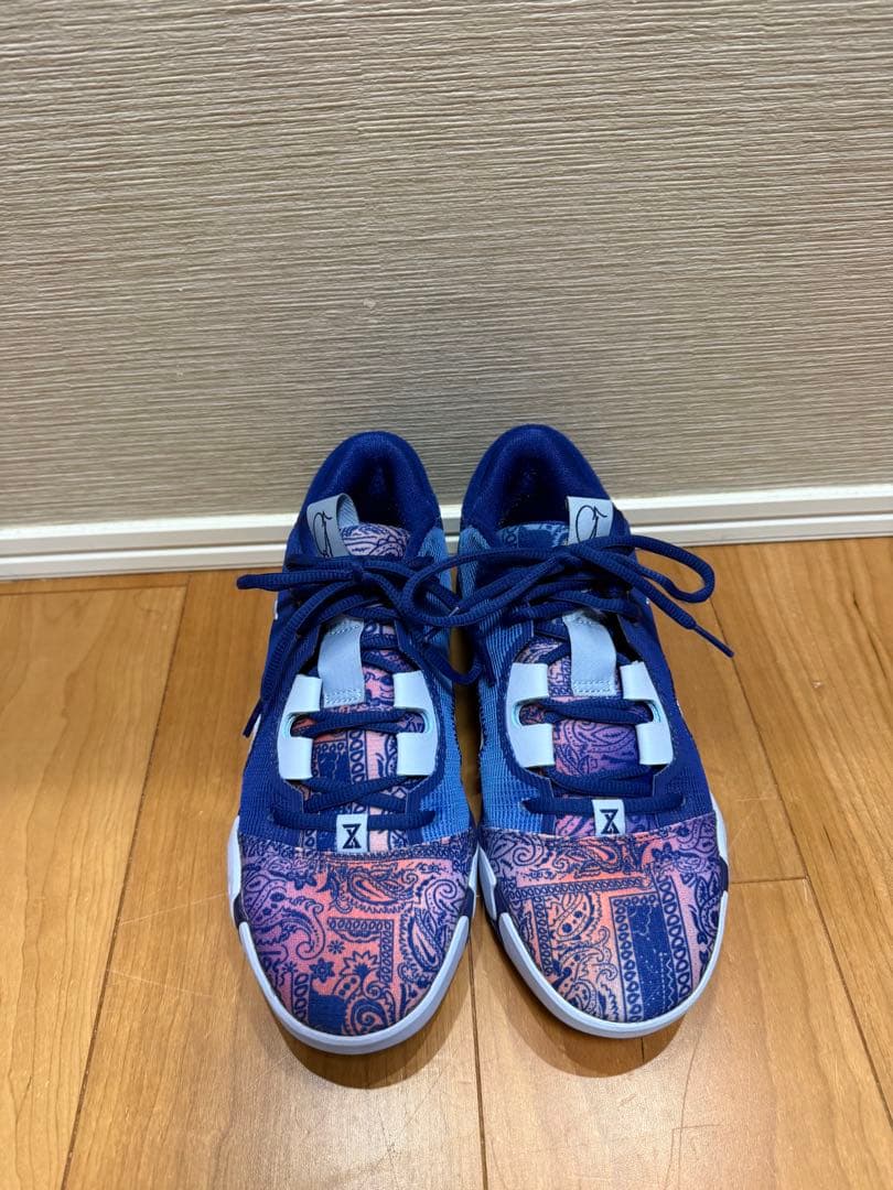 Nike ナイキ　PG6