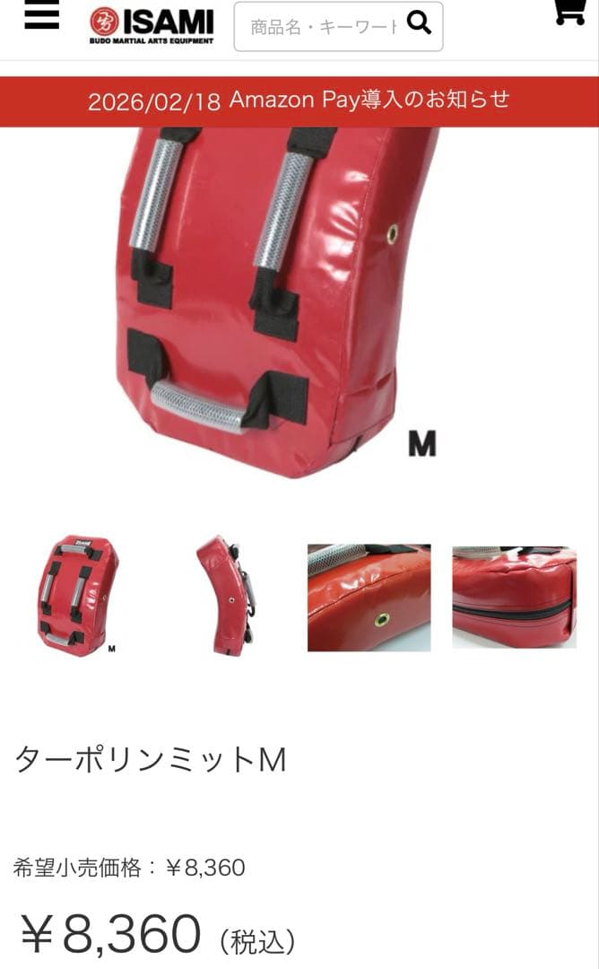 イサミISAMI☆ MARTIALWORLDミットセット　グローブおまけ
