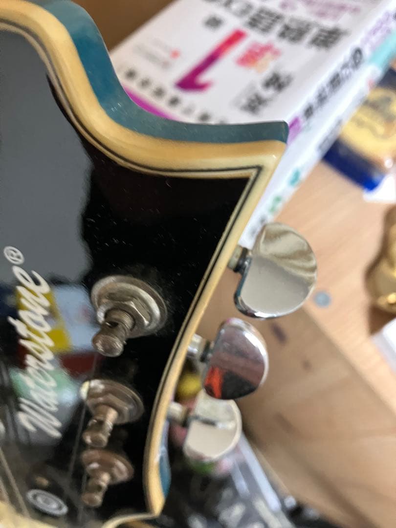 希少・音出し確認済　Waterstone Meaden セミアコ　直接手渡し限定