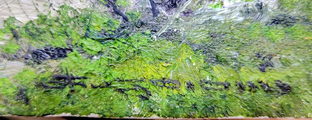 油彩画　尾身周三作 山家春陽　田舎の風景
