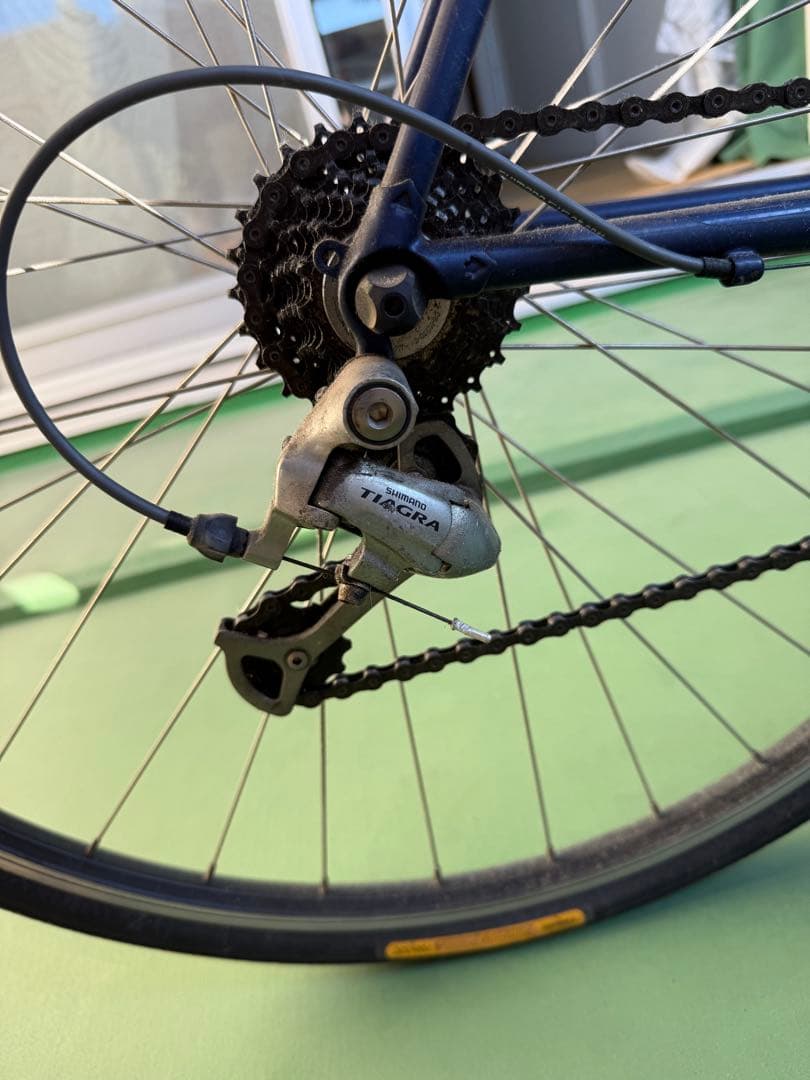 自転車本体 Bianchi Lupe