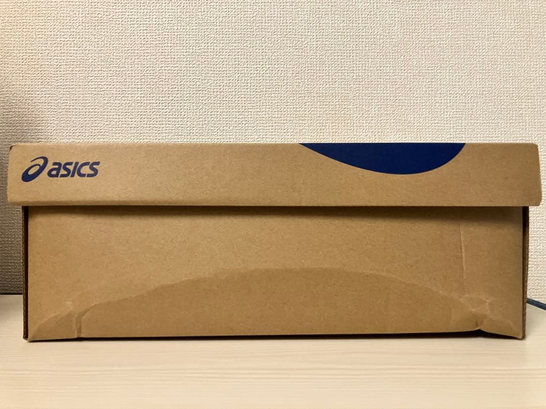 新品未着用 ASICS NOVABLAST5 28.0 ノヴァブラスト 2026