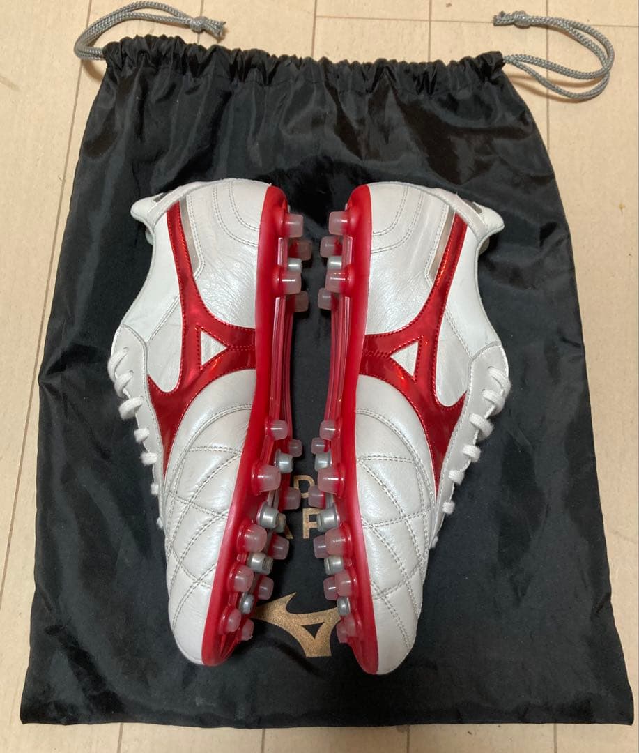 【25.0cm】Mizuno モレリア2 JAPAN AG