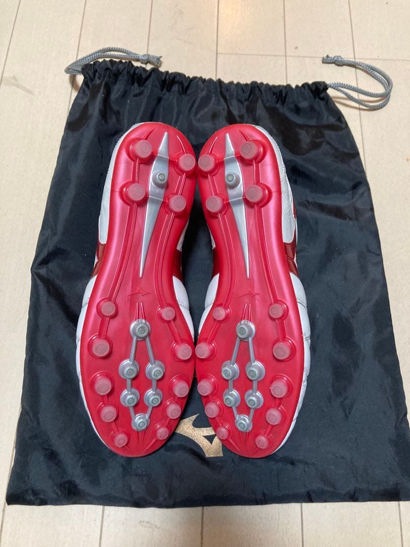 【25.0cm】Mizuno モレリア2 JAPAN AG