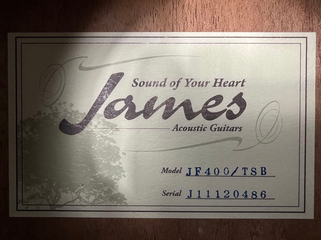 島村楽器 james JF400 TSB アコースティック ギター