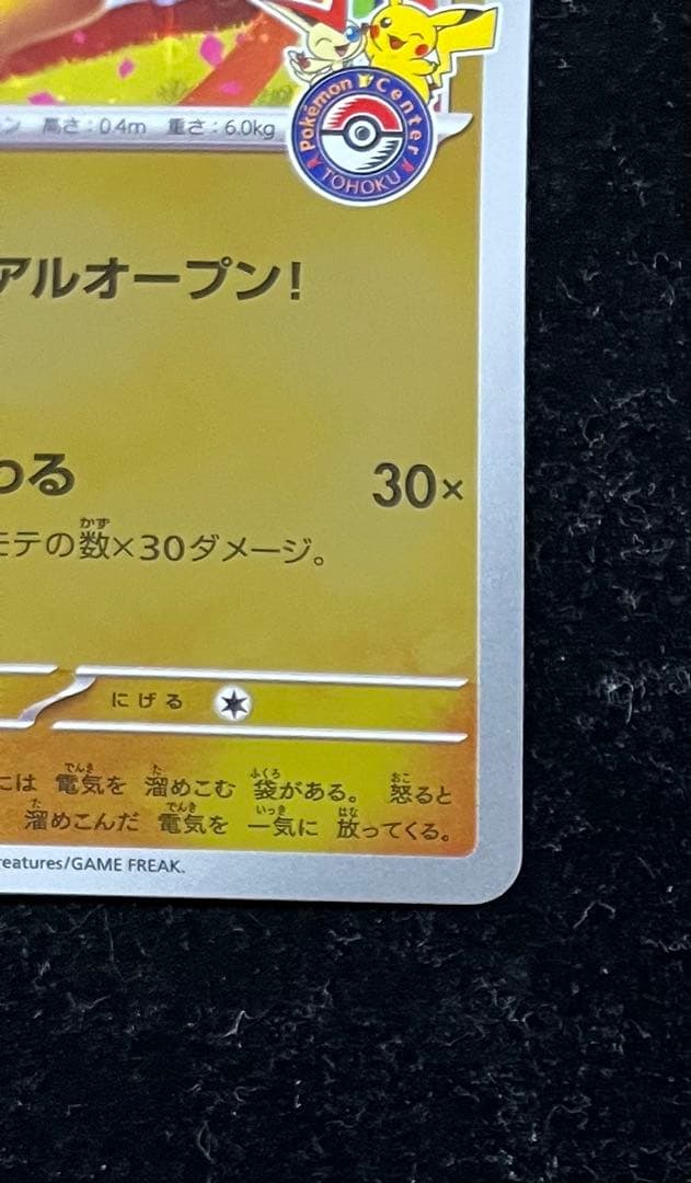 トウホクのピカチュウ ②